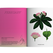 Load image into Gallery viewer, 2024 Notebook Planner A5 The Flora & Fauna of the Philippines Takipsilim