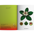 Load image into Gallery viewer, 2024 Notebook Planner A5 The Flora & Fauna of the Philippines Takipsilim