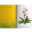 Load image into Gallery viewer, 2024 Notebook Planner A5 The Flora & Fauna of the Philippines Takipsilim
