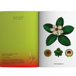 Load image into Gallery viewer, 2024 Notebook Planner A5 The Flora & Fauna of the Philippines Takipsilim