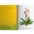 Load image into Gallery viewer, 2024 Notebook Planner A5 The Flora & Fauna of the Philippines Takipsilim