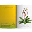 Load image into Gallery viewer, 2024 Notebook Planner A5 The Flora & Fauna of the Philippines Takipsilim