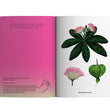 Load image into Gallery viewer, 2024 Notebook Planner A5 The Flora & Fauna of the Philippines Takipsilim