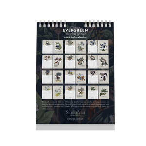 2024 Wall Calendar Evergreen 12" x 18"