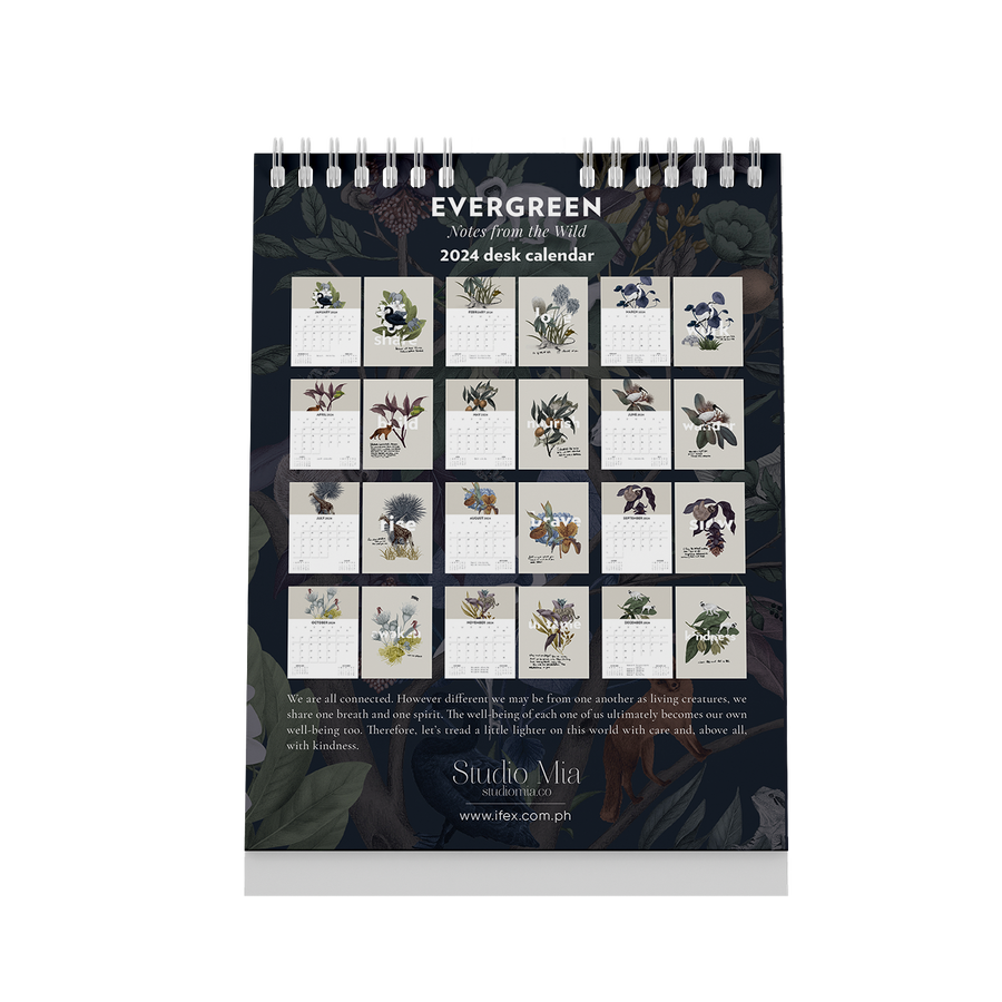 2024 Wall Calendar Evergreen 12" x 18"