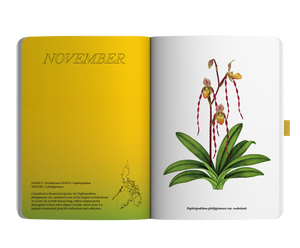 2024 Notebook Planner A5 The Flora & Fauna of the Philippines Umaga