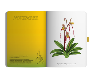 2024 Notebook Planner A5 The Flora & Fauna of the Philippines Bukang Liwayway