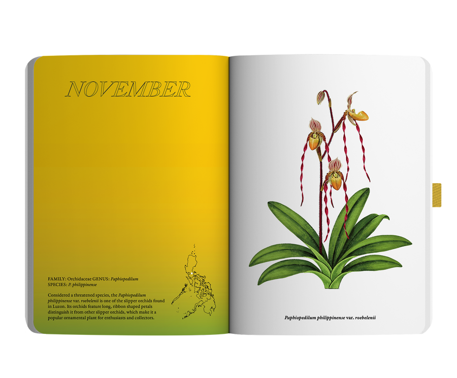 2024 Notebook Planner A5 The Flora & Fauna of the Philippines Bukang Liwayway