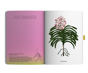 2024 Notebook Planner A5 The Flora & Fauna of the Philippines Bukang Liwayway