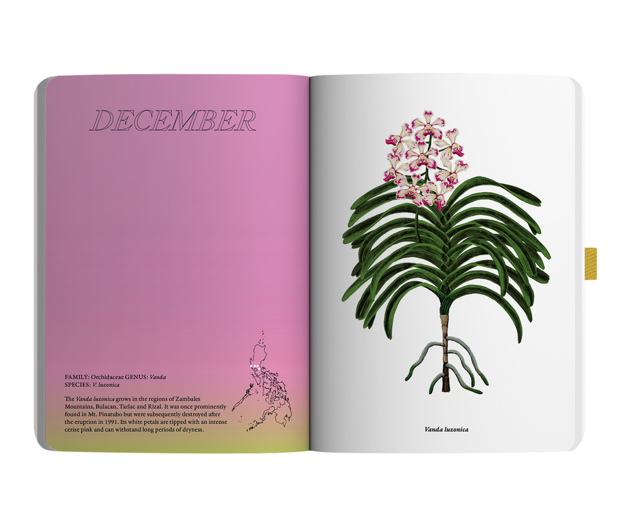 2024 Notebook Planner A5 The Flora & Fauna of the Philippines Dapithapon