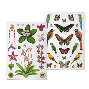 2024 Notebook Planner A5 The Flora & Fauna of the Philippines Bukang Liwayway