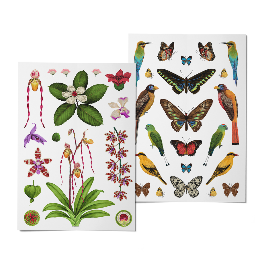 2024 Notebook Planner A5 The Flora & Fauna of the Philippines Bukang Liwayway