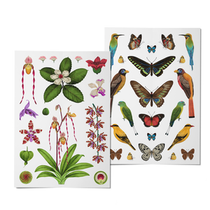 2024 Notebook Planner A5 The Flora & Fauna of the Philippines Dapithapon