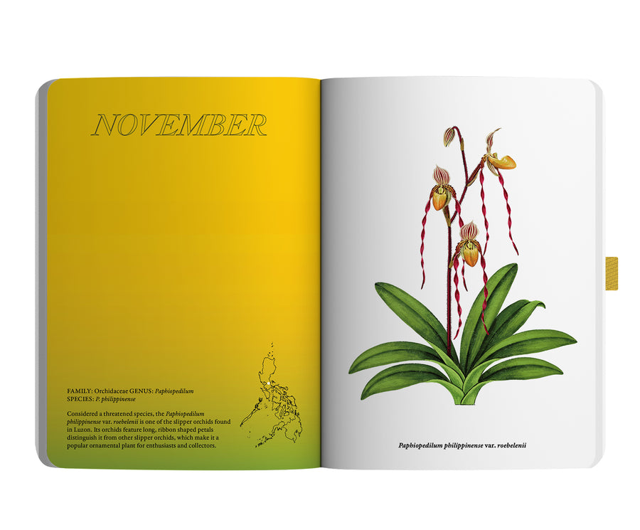 2024 Notebook Planner A5 The Flora & Fauna of the Philippines Takipsilim
