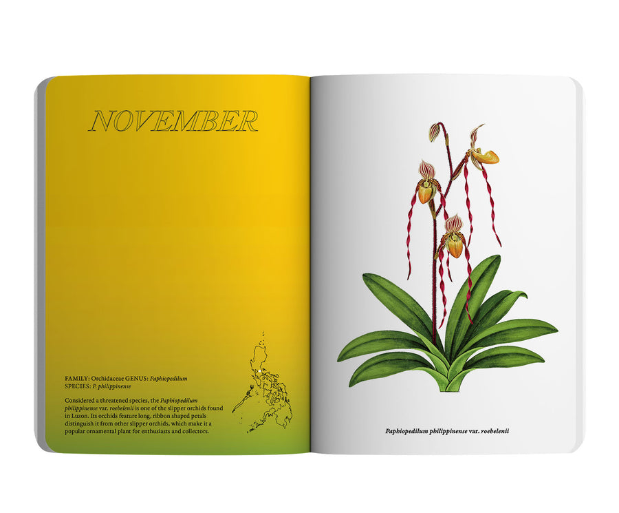 2024 Notebook Planner A5 The Flora & Fauna of the Philippines Bukang Liwayway