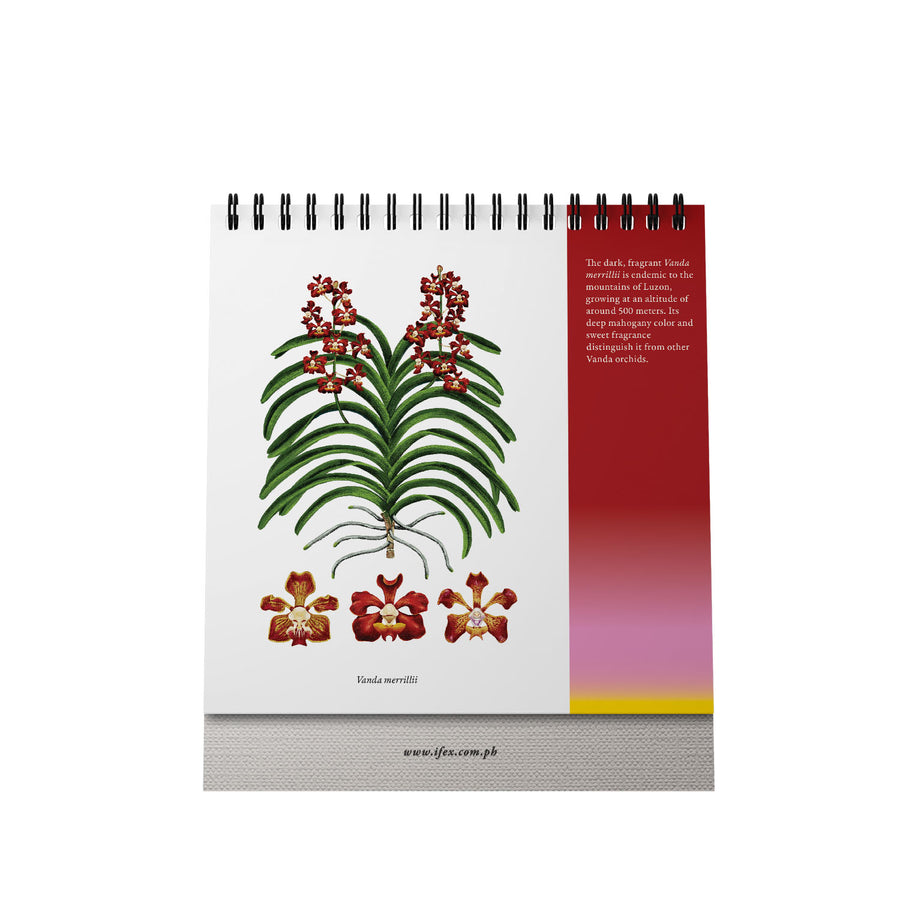 2025 Desk Calendar The Flora & Fauna of the Philippines 7" x 7"