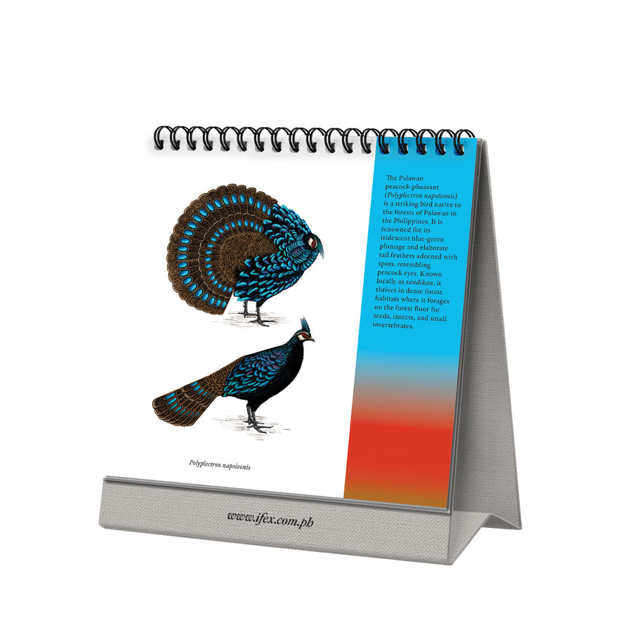 2025 Desk Calendar The Flora & Fauna of the Philippines 7" x 7"