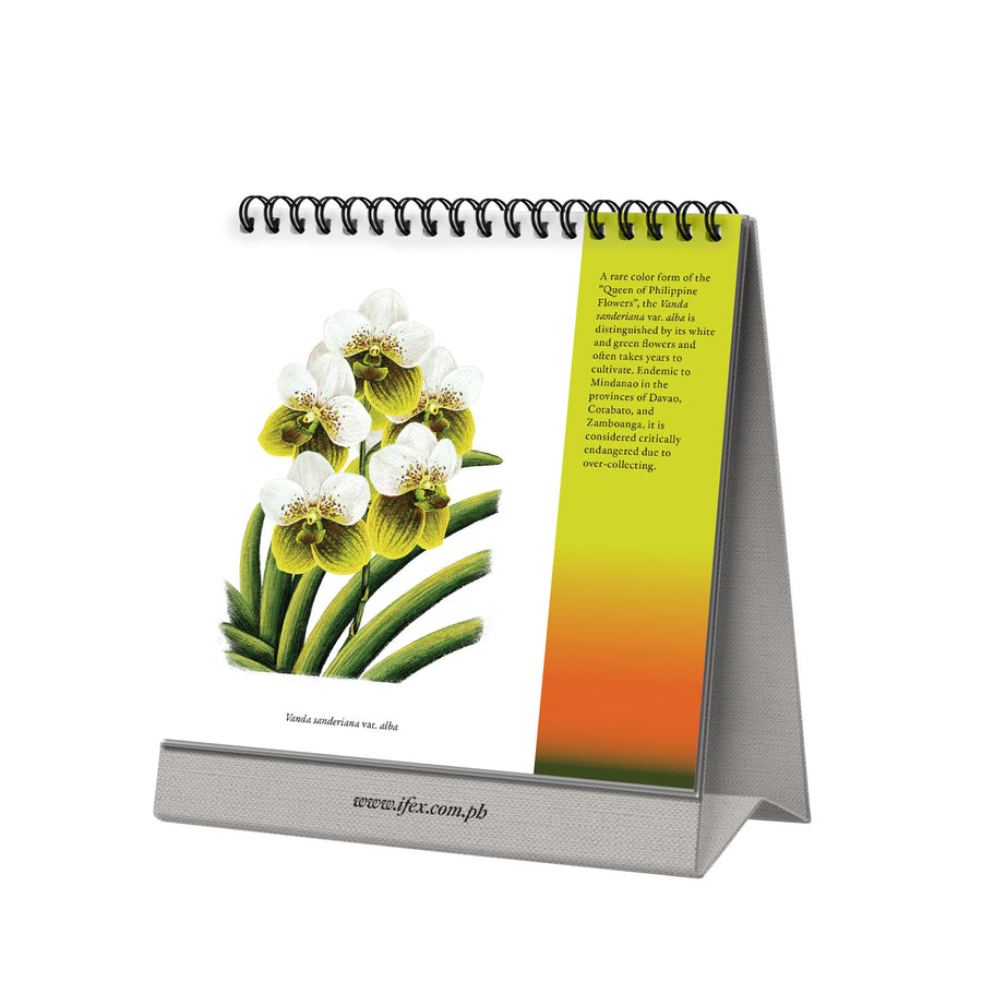 2025 Desk Calendar The Flora & Fauna of the Philippines 7" x 7"