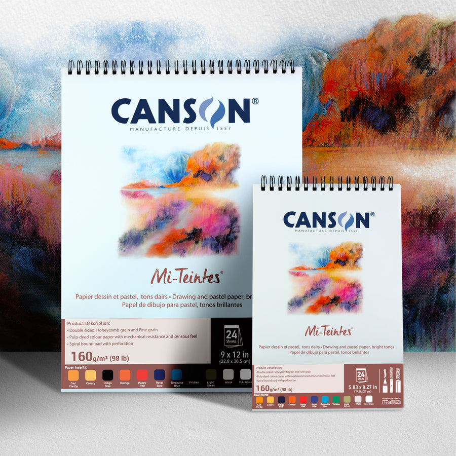 Canson Mi-Teintes 24s