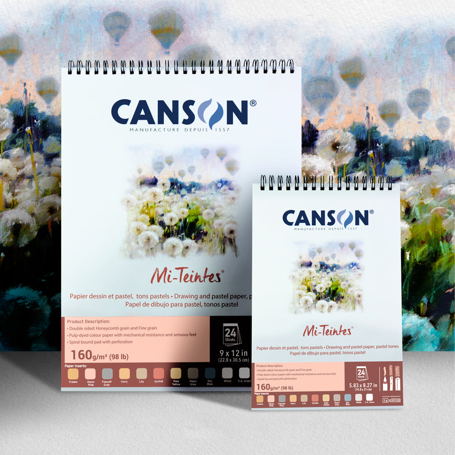 Canson Mi-Teintes 24s