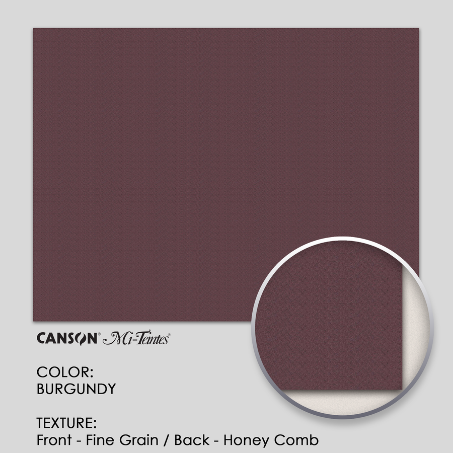 Canson Mi-Teintes 160g 19-5/8` x 25-5/8` - 3 Sheets