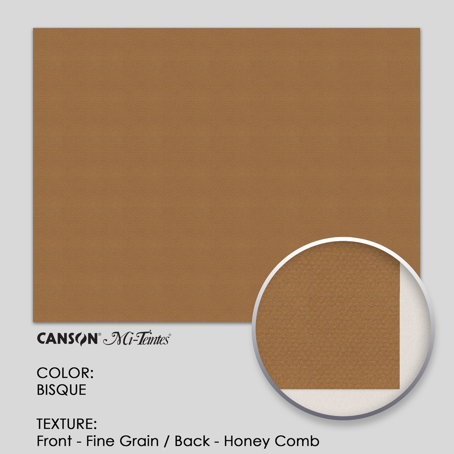 Canson Mi-Teintes 160g 19-5/8` x 25-5/8` - 3 Sheets