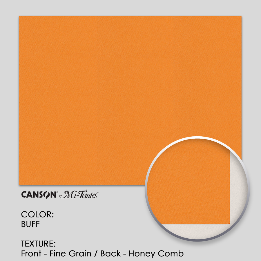 Canson Mi-Teintes 160g 19-5/8` x 25-5/8` - 3 Sheets