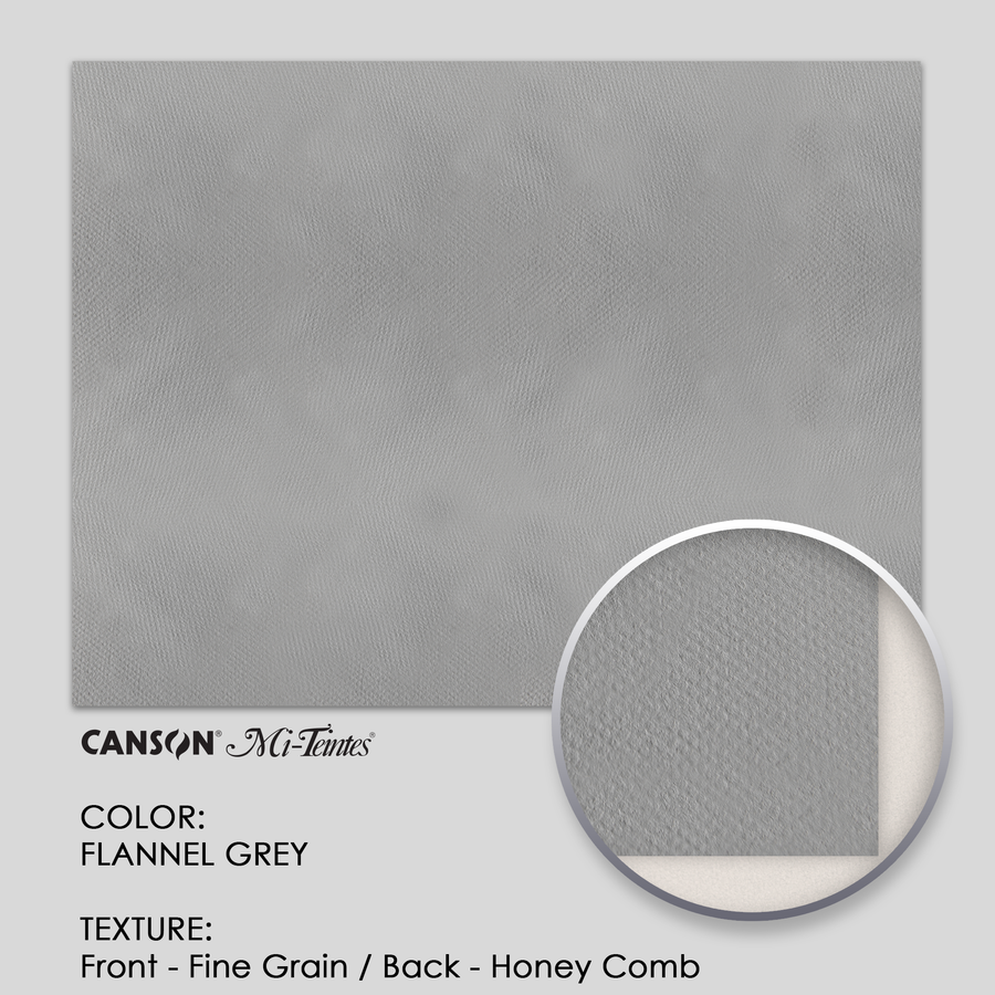 Canson Mi-Teintes 160g 19-5/8` x 25-5/8` - 3 Sheets