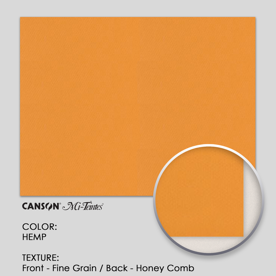Canson Mi-Teintes 160g 19-5/8` x 25-5/8` - 3 Sheets