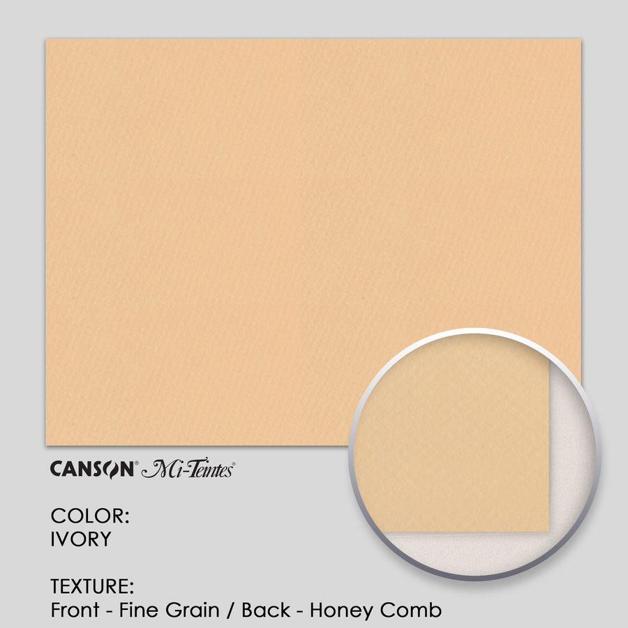 Canson Mi-Teintes 160g 19-5/8` x 25-5/8` - 3 Sheets