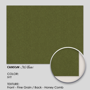 Canson Mi-Teintes 160g 19-5/8` x 25-5/8` - 3 Sheets