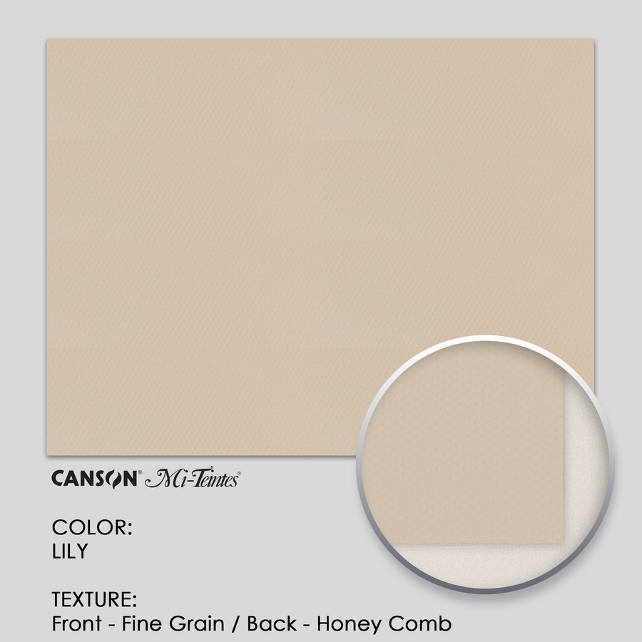 Canson Mi-Teintes 160g 19-5/8` x 25-5/8` - 3 Sheets