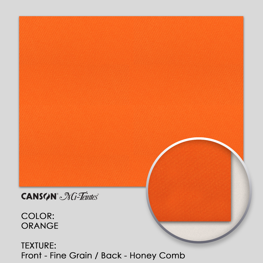 Canson Mi-Teintes 160g 19-5/8` x 25-5/8` - 3 Sheets