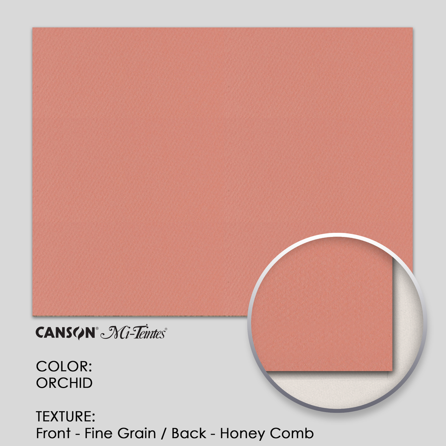 Canson Mi-Teintes 160g 19-5/8` x 25-5/8` - 3 Sheets