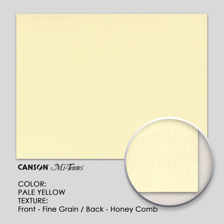 Canson Mi-Teintes 160g 19-5/8` x 25-5/8` - 3 Sheets