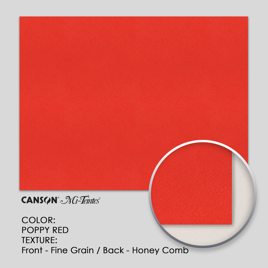 Canson Mi-Teintes 160g 19-5/8` x 25-5/8` - 3 Sheets