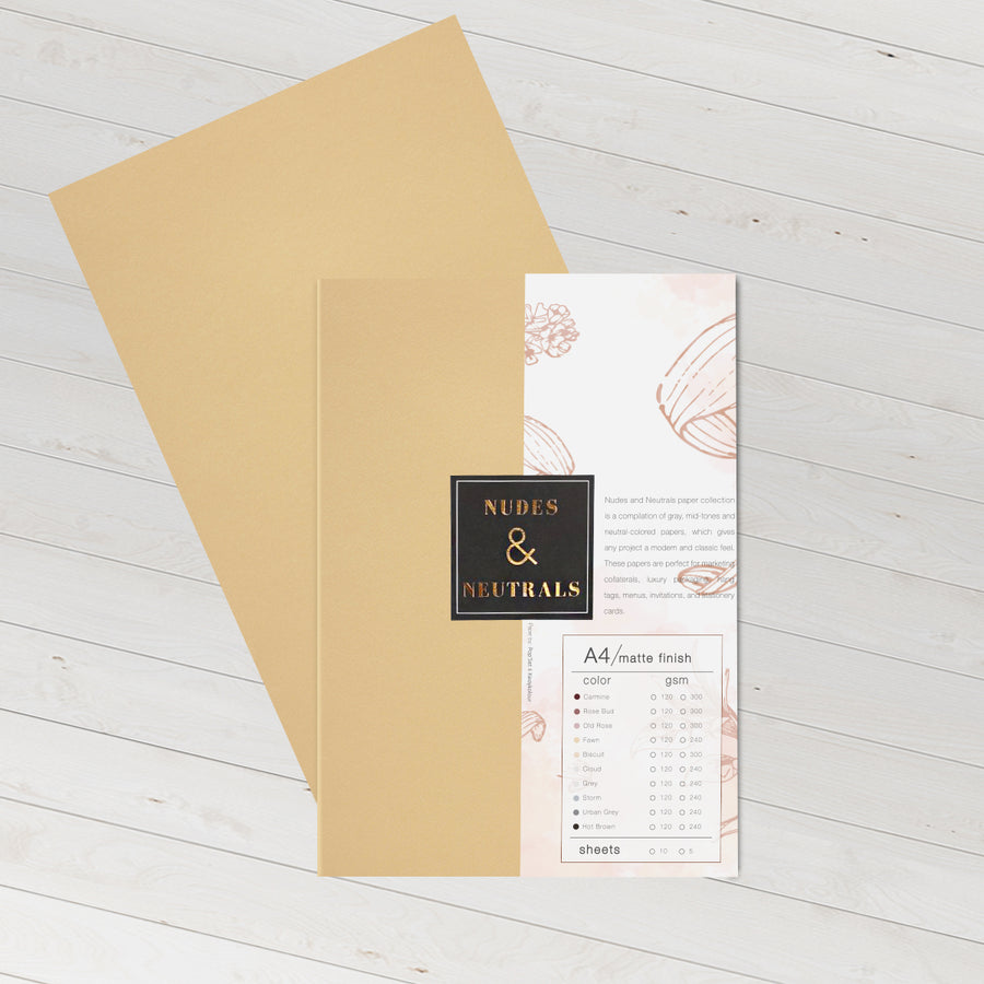 Nudes & Neutral Specialty Paper 240 gsm