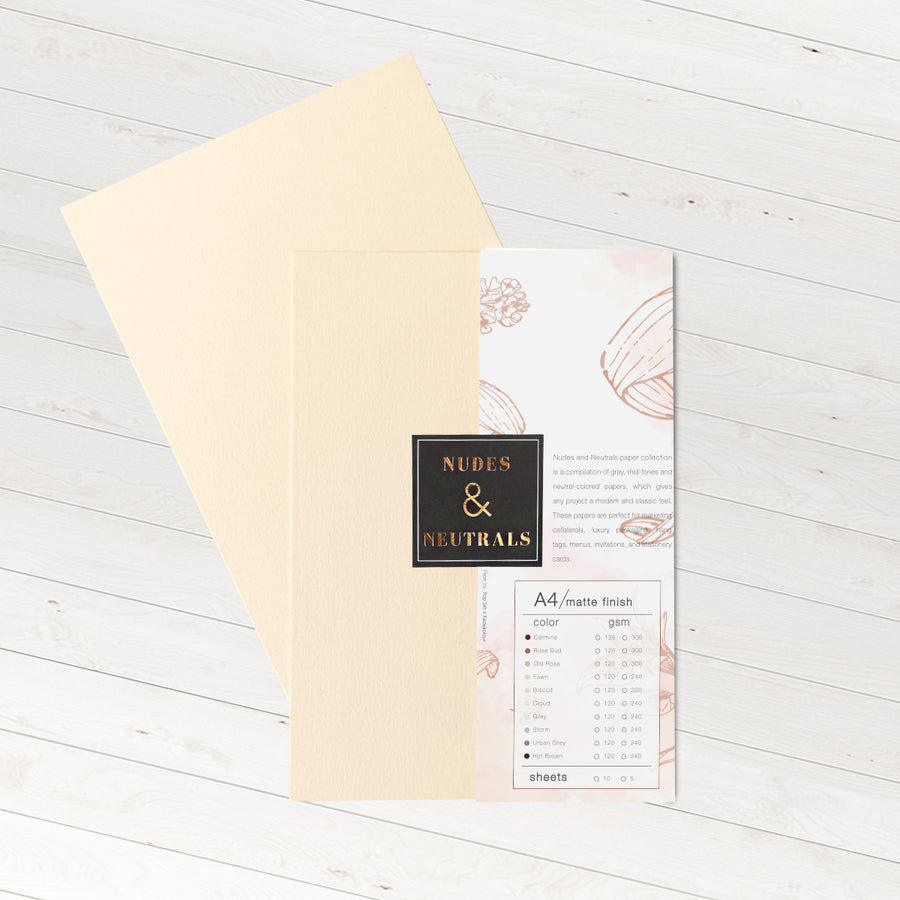 Nudes & Neutral Specialty Paper 300 gsm – Pulp and Pigment PH