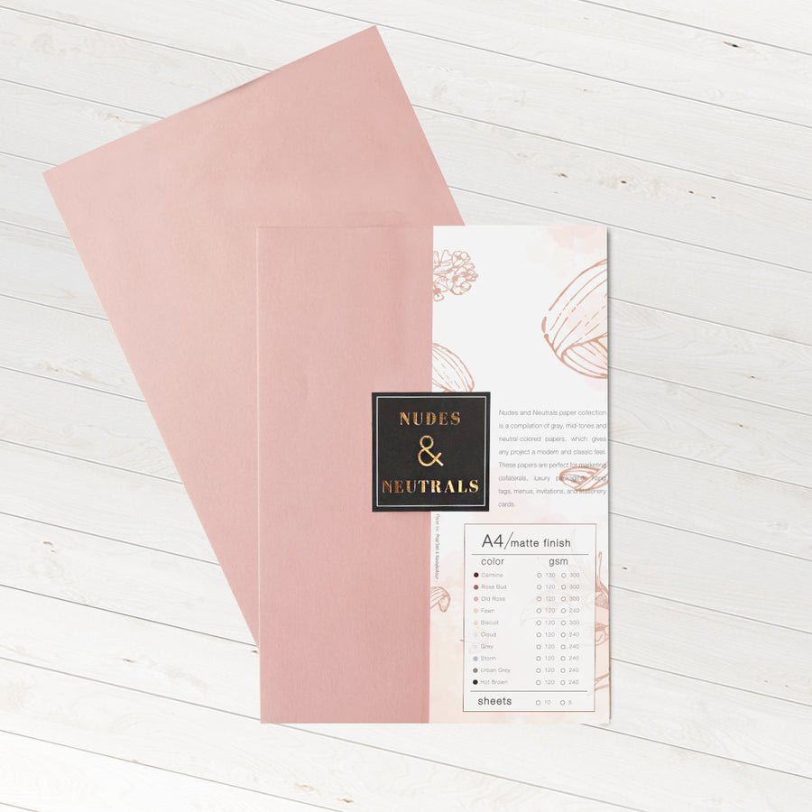 Nudes & Neutral Specialty Paper 300 gsm